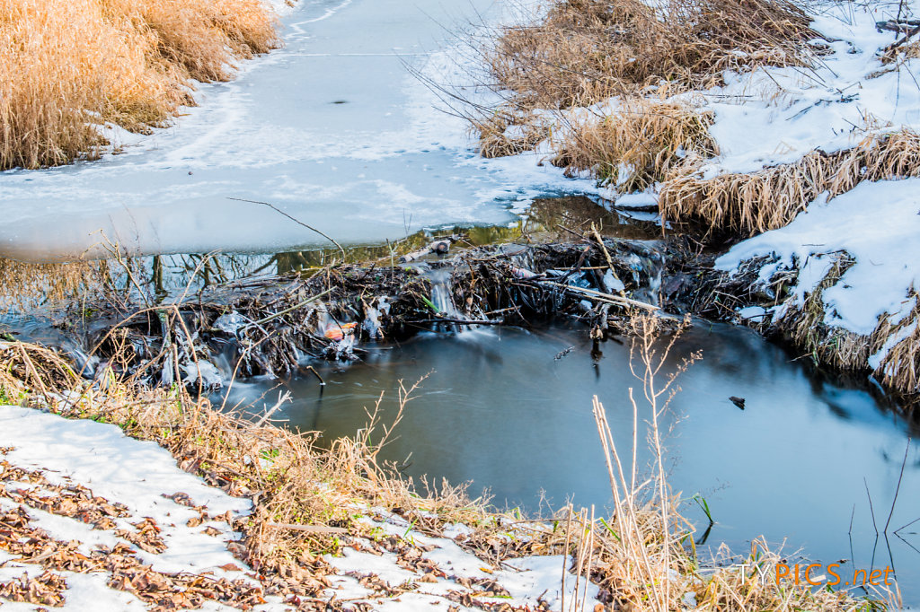 Winter an der Elbe bei Coswig (Anhalt)