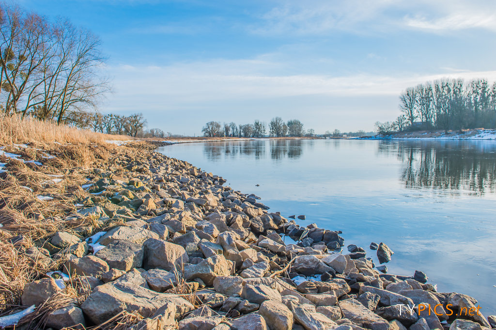 Winter an der Elbe bei Coswig (Anhalt)
