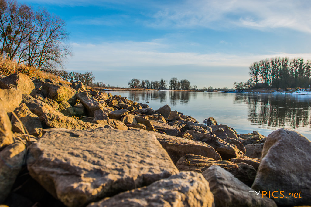 Winter an der Elbe bei Coswig (Anhalt)