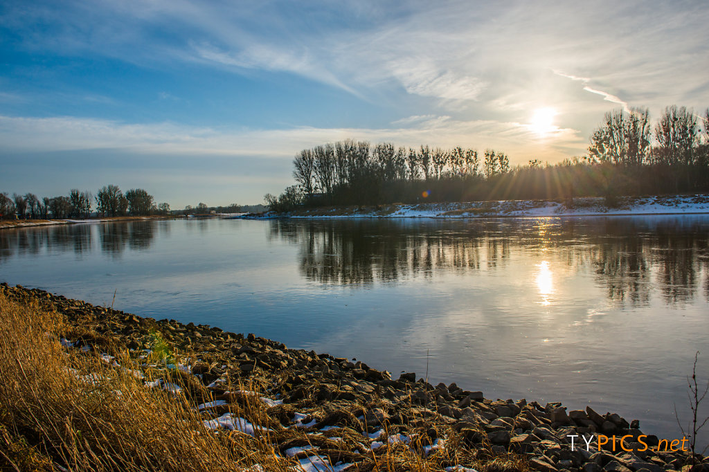 Winter an der Elbe bei Coswig (Anhalt)