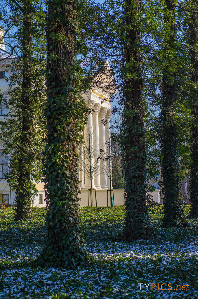 Winteraufnahmen Wörlitzer Park