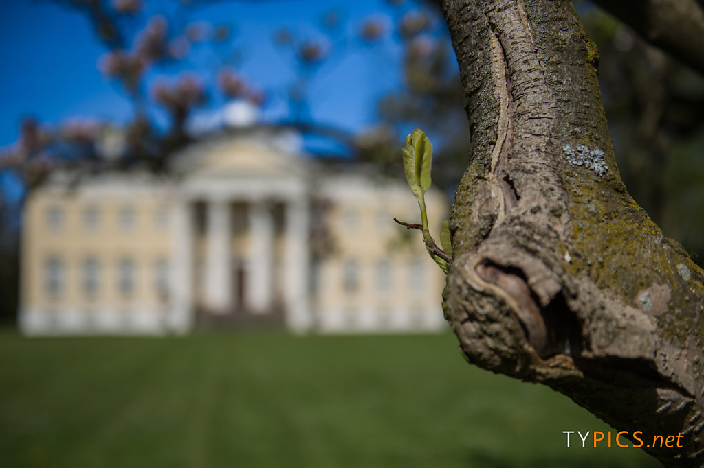 1. Mai 2016 im Wörlitzer Park