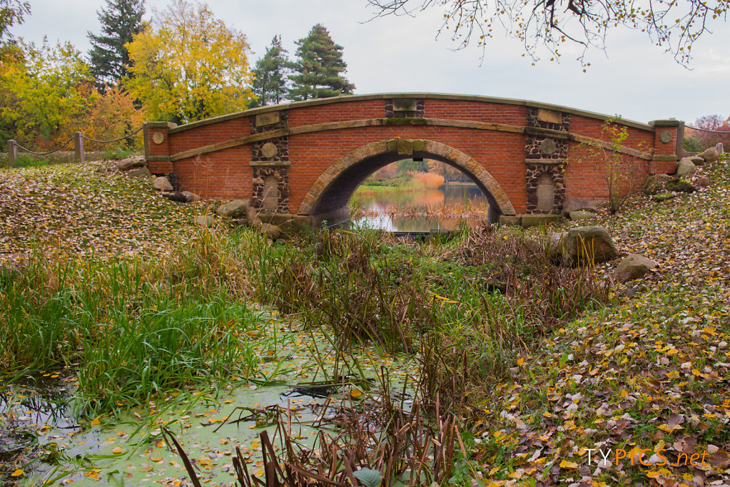 Wörlitzer Park im Herbst