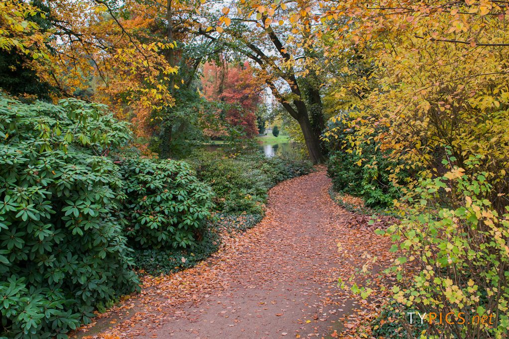 Wörlitzer Park im Herbst