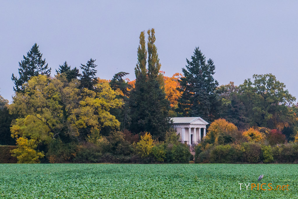 Wörlitzer Park im Herbst