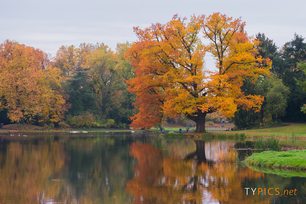 Wörlitzer Park im Herbst