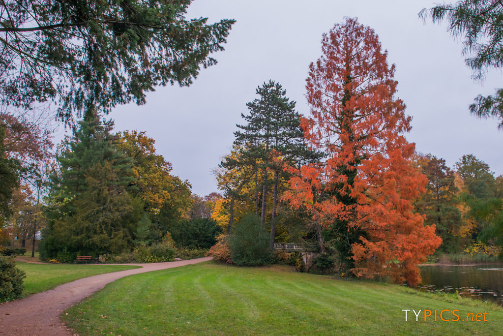 Wörlitzer Park im Herbst