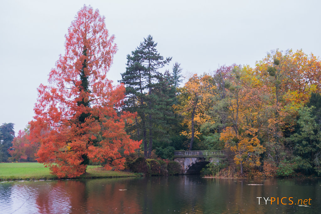 Wörlitzer Park im Herbst