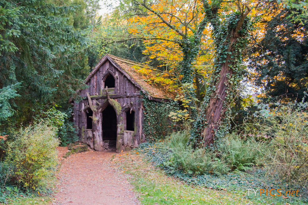 Wörlitzer Park im Herbst