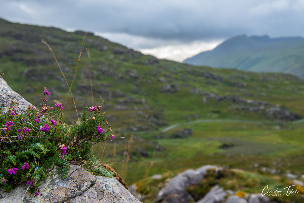 2018-08-24-Irland-Urlaub-Ring-of-Kerry-446.jpg