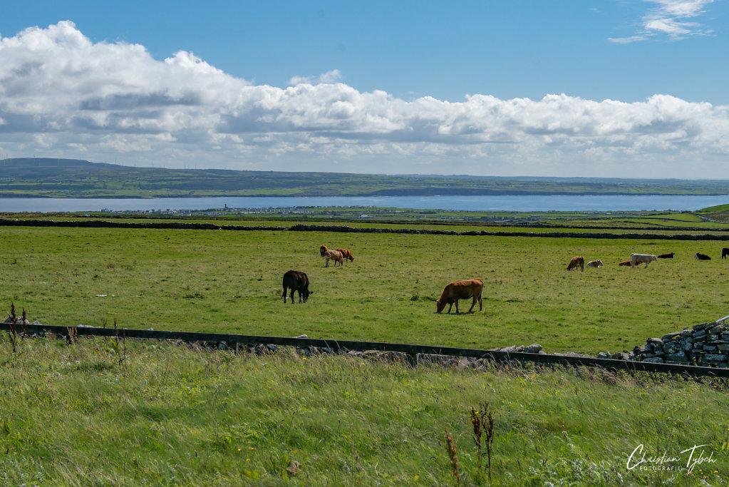 2018-08-25-Irland-Urlaub-Cliffs-of-Moher-11.jpg